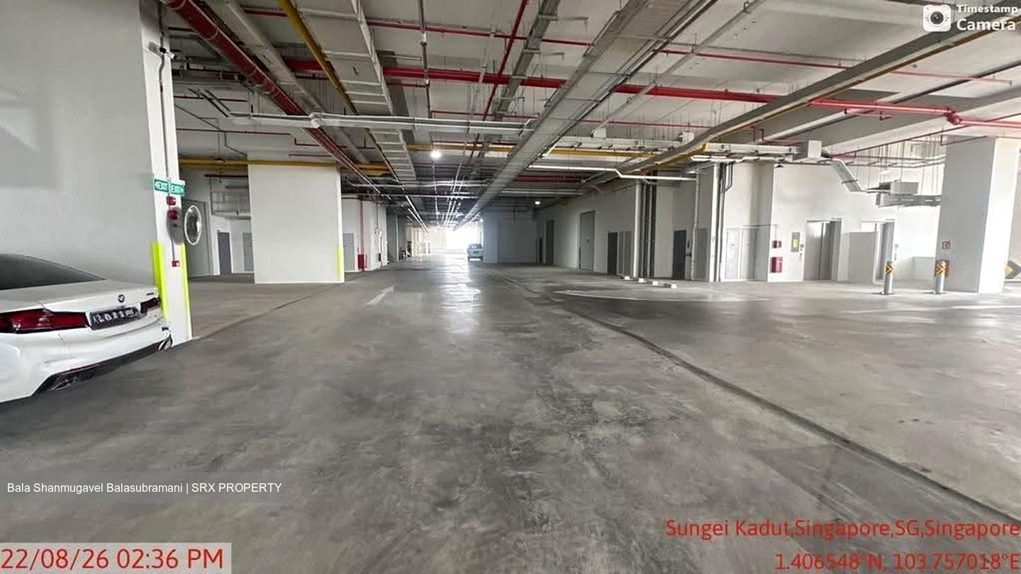 Ct Foodnex (D25), Factory #615720621